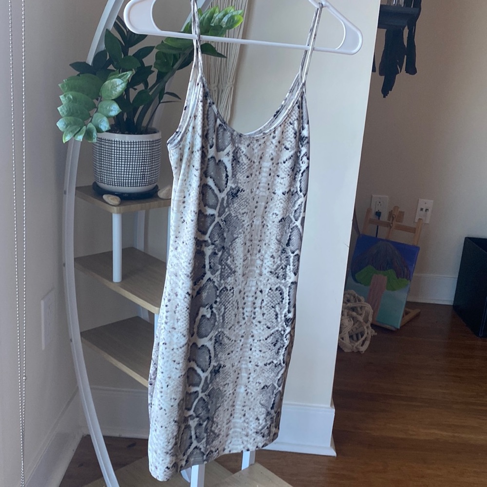 Snake Mini Dress ~ Windsor